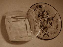 flasche4.jpg (14740 Byte)