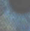 Bilder