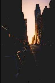 nycg.JPG (5565 Byte)